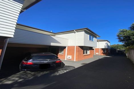 Photo of property in 223c Peachgrove Road, Claudelands, Hamilton, 3214