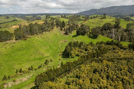 Photo of property in 231 Walford Road, Aongatete, Katikati, 3181
