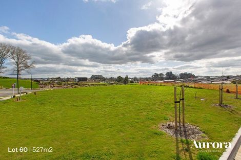 Photo of property in 5 Anurangi Rise, Peacocke, 3206