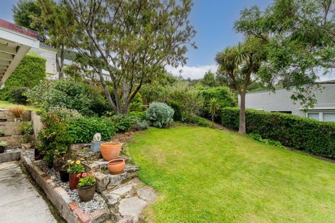 Photo of property in 124 Rolla Street, Normanby, Dunedin, 9010