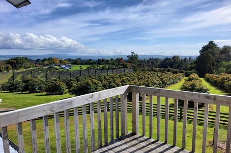 Photo of property in 14 Merrick Road, Pyes Pa, Tauranga, 3173