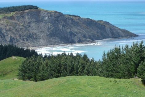 Photo of property in 399 Te Apiti Road, Waimarama, Havelock North, 4294