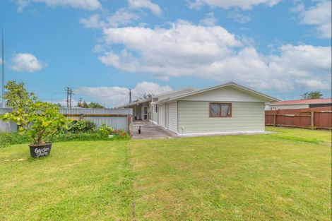 Photo of property in 117 Liverpool Street, Levin, 5510