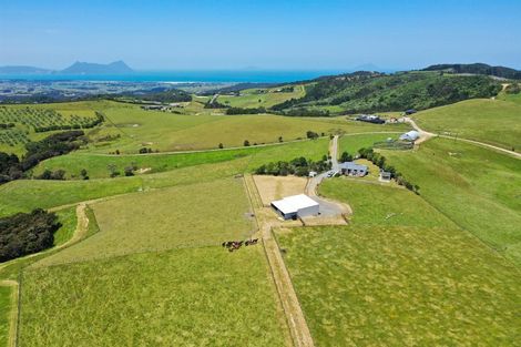 Photo of property in 579 Ormiston Road, Ruakaka, Waipu, 0582