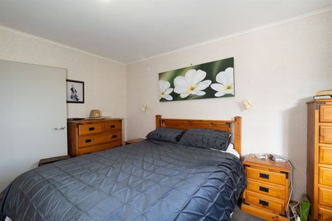 Photo of property in 133 Company Road, Newland, Ashburton, 7772