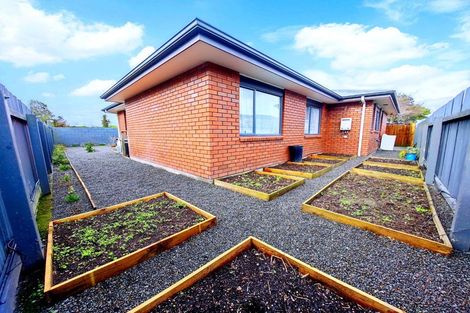 Photo of property in 105a Limbrick Street, Terrace End, Palmerston North, 4410