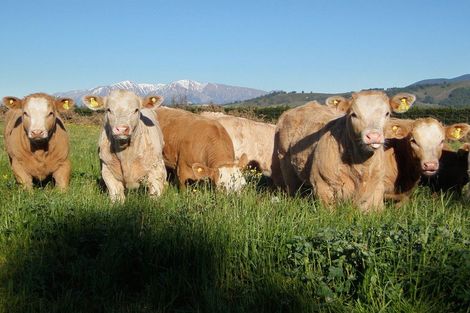 Photo of property in 48 Gardiners Road, Starvation Hill, 7495