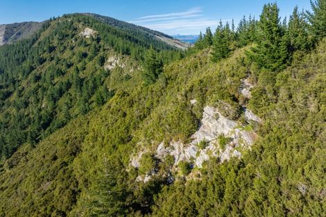 Photo of property in 793 Waikakaho Road, Tuamarina, Blenheim, 7273