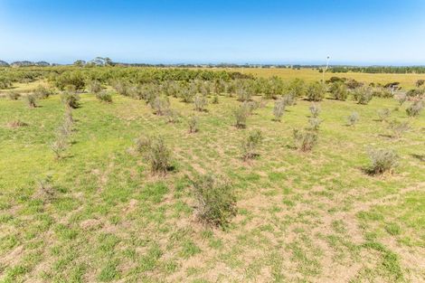 Photo of property in 1426a Inland Road, Karikari Peninsula, 0483