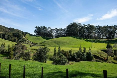 Photo of property in 118 Pukewera Road, Waihi, 3682