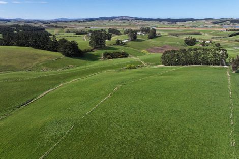 Photo of property in 31 Windy Ridge Road, Benhar, Balclutha, 9272