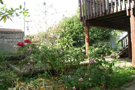 Photo of property in 5 Craigleith Street, North East Valley, Dunedin, 9010