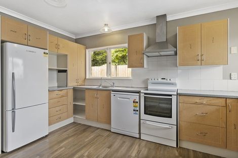 Photo of property in 193 Studholme Street, Morrinsville, 3300