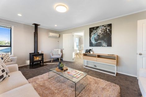 Photo of property in 45 Olivine Street, Shirley, Christchurch, 8013