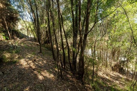 Photo of property in 16 Kakapo Rise, Picton, 7220