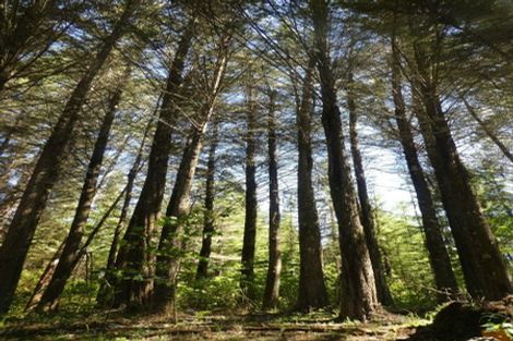 Photo of property in 168 Graham Valley Road, Motueka Valley, Motueka, 7196