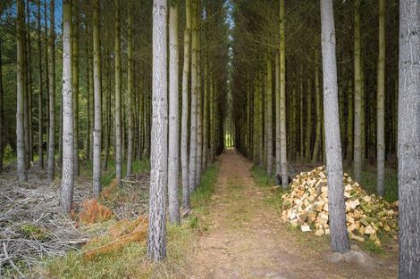 Photo of property in 1837 West Coast Road, Kirwee, Christchurch, 7671