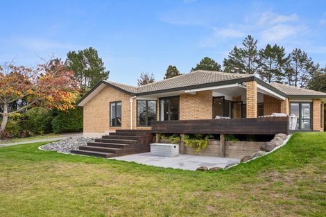 Photo of property in 790 Belk Road, Omanawa, Tauranga, 3171