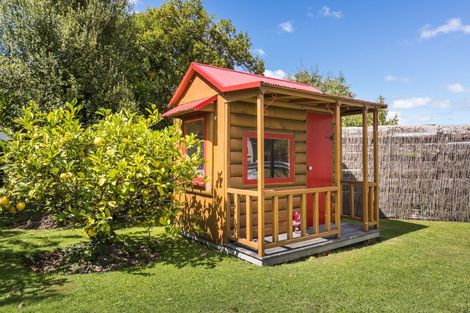 Photo of property in 15 Pirinoa Street, Feilding, 4702