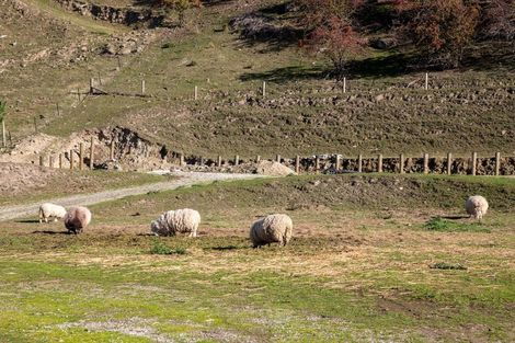 Photo of property in 25 Smith Street, Roxburgh, 9500