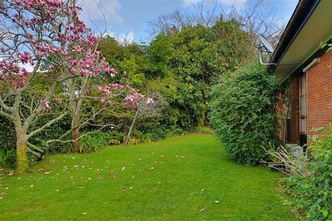 Photo of property in 15b Allendale Road, Mount Albert, Auckland, 1025