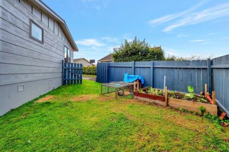 Photo of property in 3b Townhead Crescent, Bethlehem, Tauranga, 3110