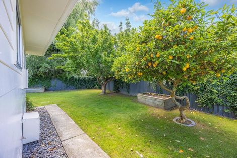 Photo of property in 25 Dalton Crescent, Dinsdale, Hamilton, 3204