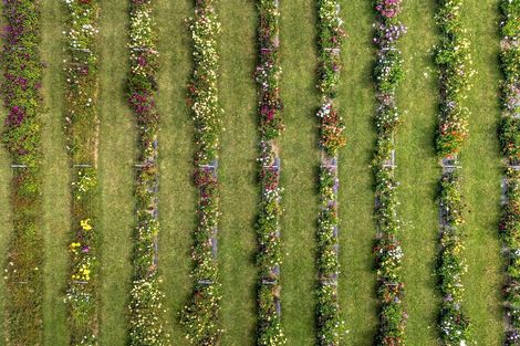 Photo of property in 134 Aranui Road, Mapua, 7005