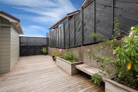 Photo of property in 115b Washington Avenue, Brooklyn, Wellington, 6021