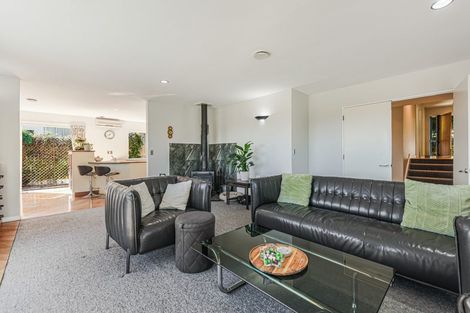 Photo of property in 313 Hill Street, Richmond, 7020