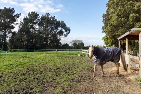 Photo of property in 119 Cemetery Road, Sanson, Palmerston North, 4479