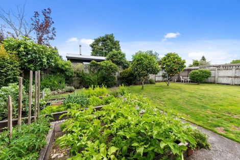 Photo of property in 23a Okona Crescent, Ngongotaha, Rotorua, 3010