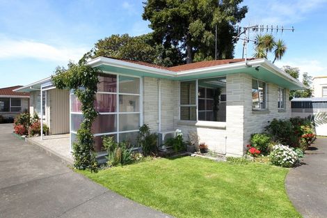 Photo of property in 220a Wolseley Street, Mayfair, Hastings, 4122