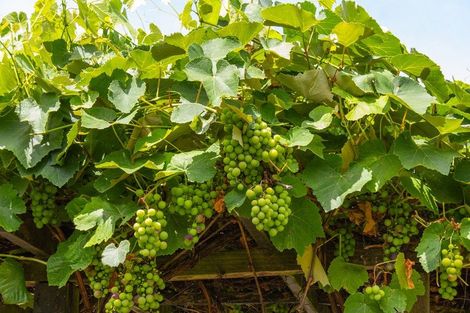 Photo of property in 60 Makoura Road, Masterton, 5810