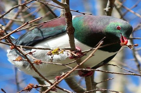 Photo of property in 9 Holland Street, Wainuiomata, Lower Hutt, 5014
