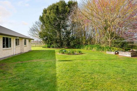 Photo of property in 186b Holland Road, Puketaha, Hamilton, 3286