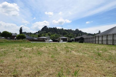 Photo of property in 12 Robin Azariah Place, Te Kuiti, 3910