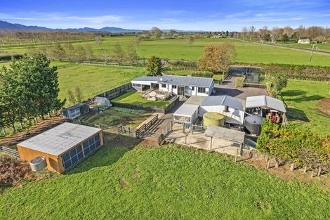 Photo of property in 385 Whakahoro Road, Springdale, Waitoa, 3380