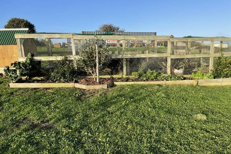 Photo of property in 301 Mercer Ferry Road, Mercer, Tuakau, 2696