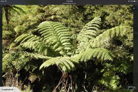 Photo of property in 543 Three Mile Bush Road, Te Kamo, Kamo, 0185