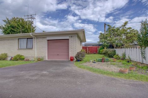 Photo of property in 47 Herbert Road, Queenwood, Hamilton, 3210