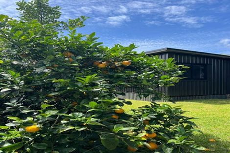 Photo of property in 131 Maunsell Road, Port Waikato, Tuakau, 2695