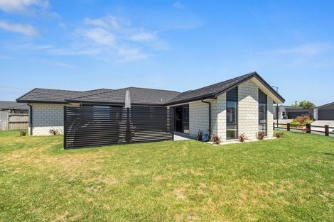 Photo of property in 14 Rangawhenua Street, Ngaruawahia, Hamilton, 3288