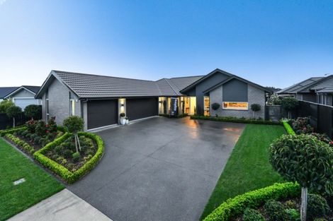 Photo of property in 49 Meadowfield Street, Flagstaff, Hamilton, 3210