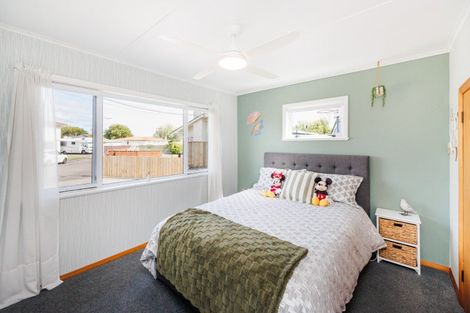 Photo of property in 50 Haydon Street, Roslyn, Palmerston North, 4414