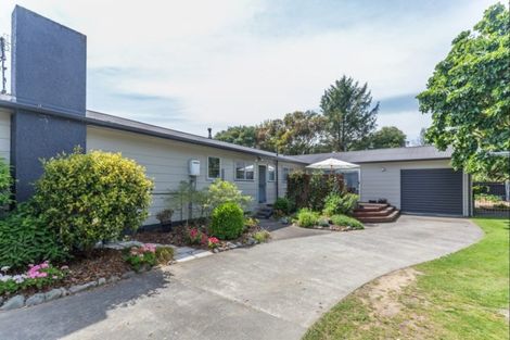 Photo of property in 25 Strathmore Avenue, Levin, 5510