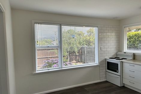 Photo of property in 1/31 Coronation Street, Spreydon, Christchurch, 8024