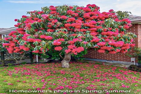 Photo of property in 22 Marion Street, Silverstream, Upper Hutt, 5019