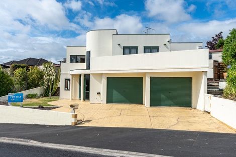 Photo of property in 45 Carey Street, Maeroa, Hamilton, 3200