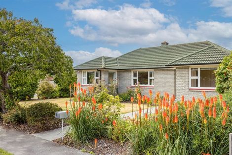 Photo of property in 6 Cotton Street, Shirley, Christchurch, 8061